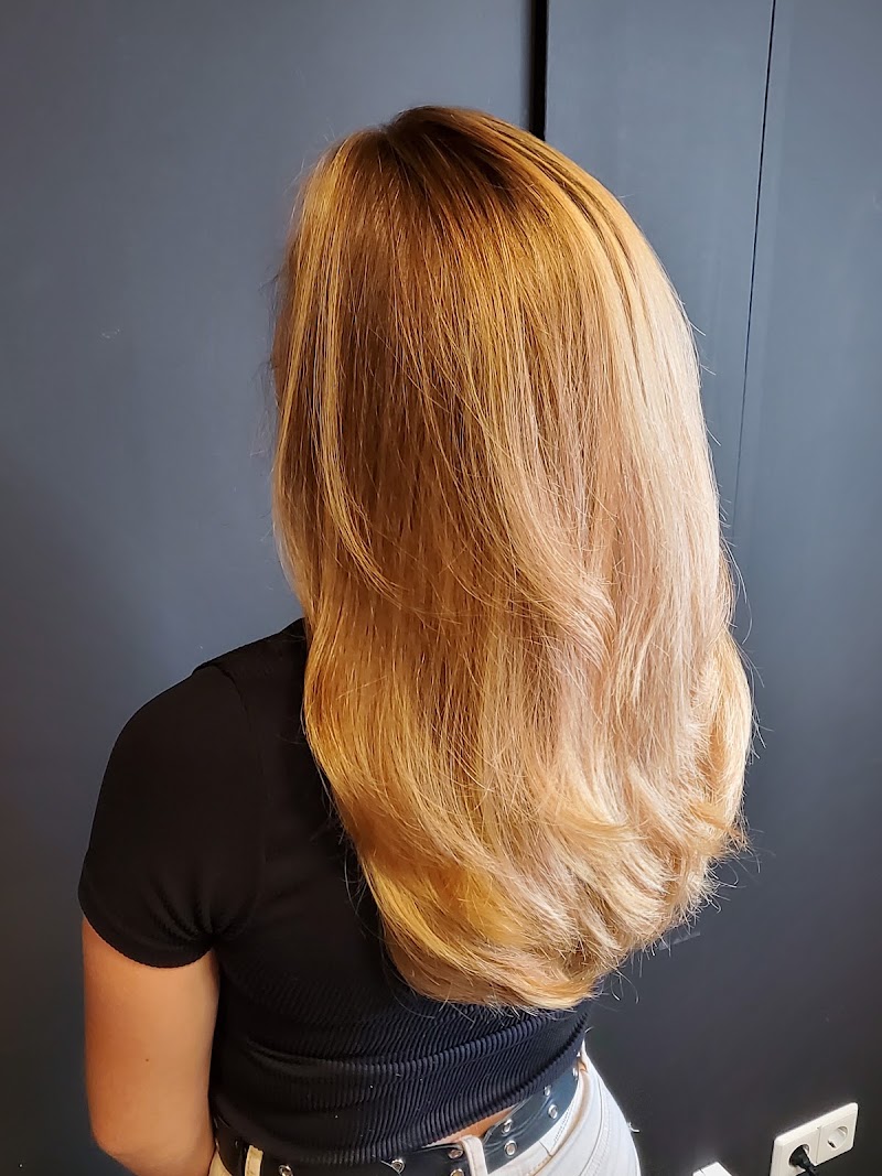 Lang blond haar met een uitgewerkte kleurovergang van donker naar licht, van achteren gefotografeerd.